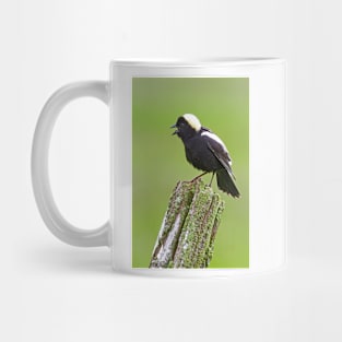 Bobolink Mug